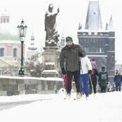 city under the duvet