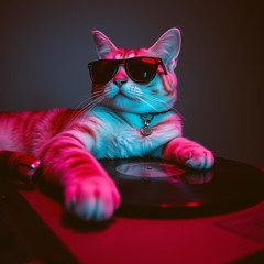 My Wife Is Supa Cool