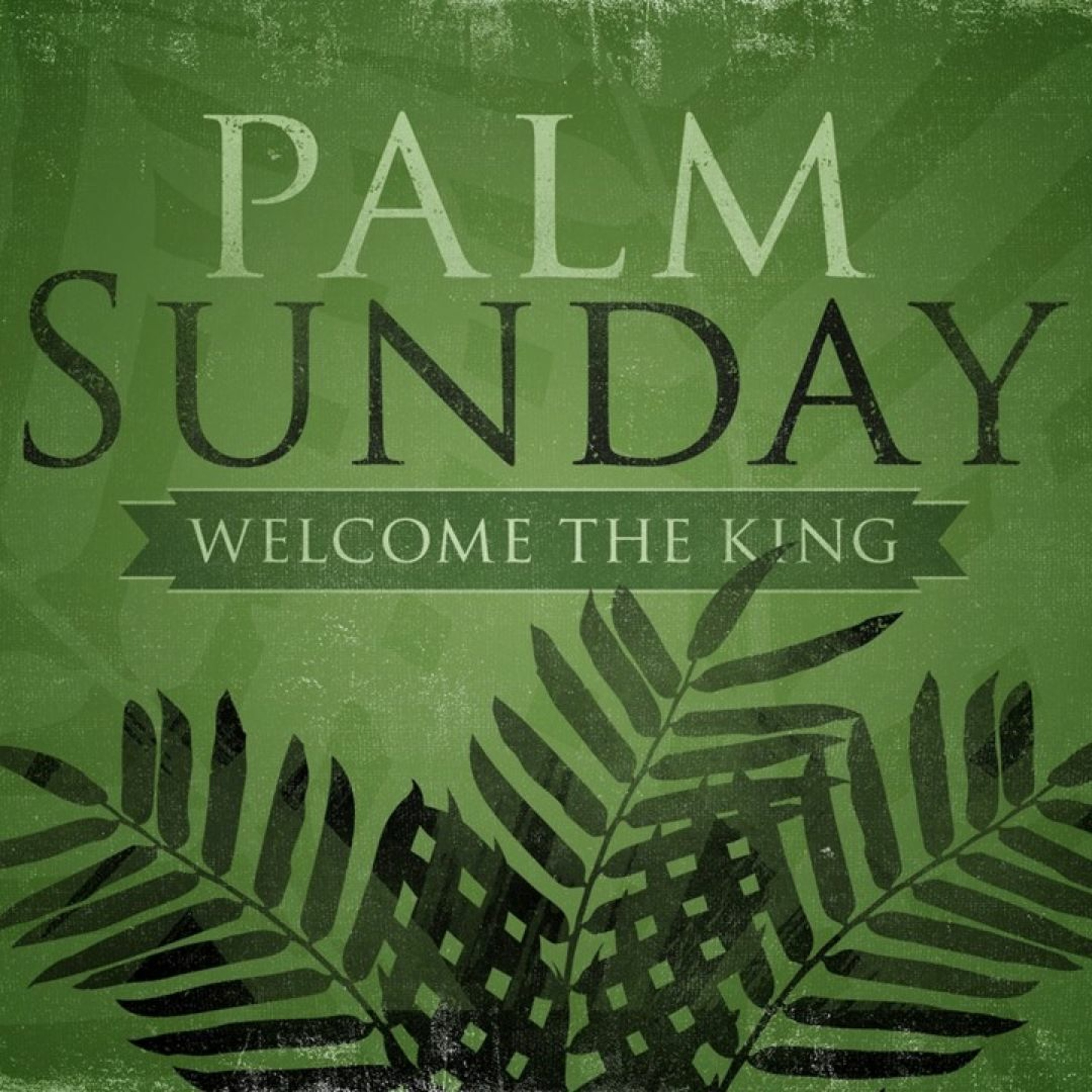 Palm Sunday | Political Commission | 3-28-21 episode artwork