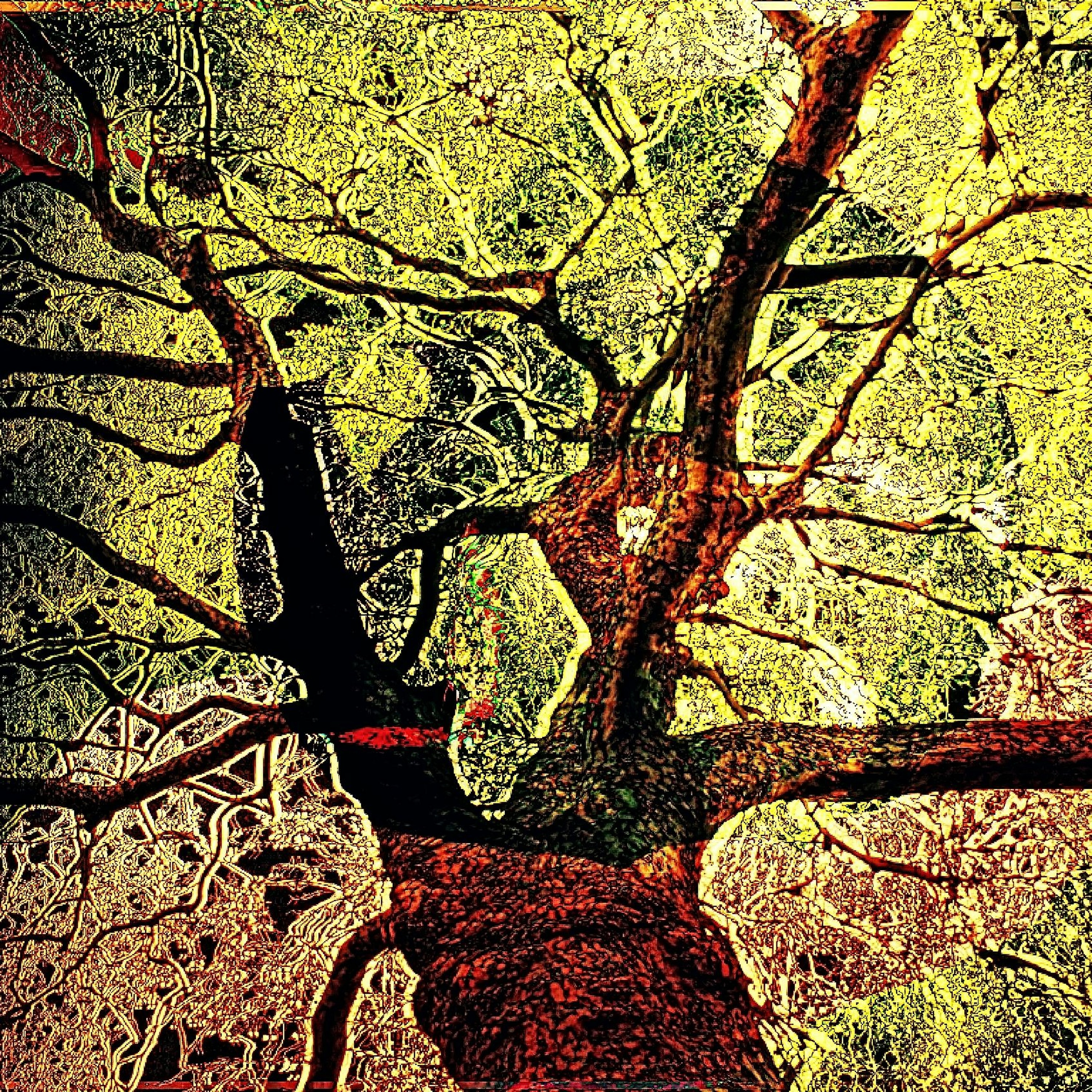 Singing Tree episode artwork