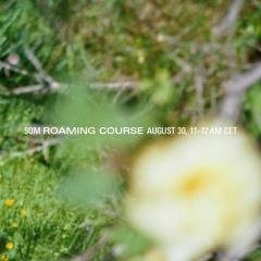 Roaming Course Nr. 40 (23/08/30, Radio 80000)