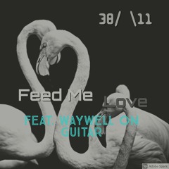 Feed Me Love Feat. Waywell On Guitar