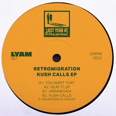 B2. Retromigration -  Kush Calls (ft. Cem Mo & Moritz Schuster) [LYAM001]
