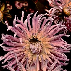 Catching up with the slow ones