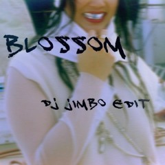 Audrey Nuna - Blossom (DJ Jimbo House Edit)