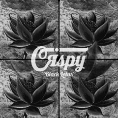 CRSPY - Black Lotus