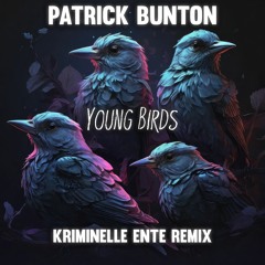 Patrick Bunton - Young Birds (Kriminelle Ente Remix)