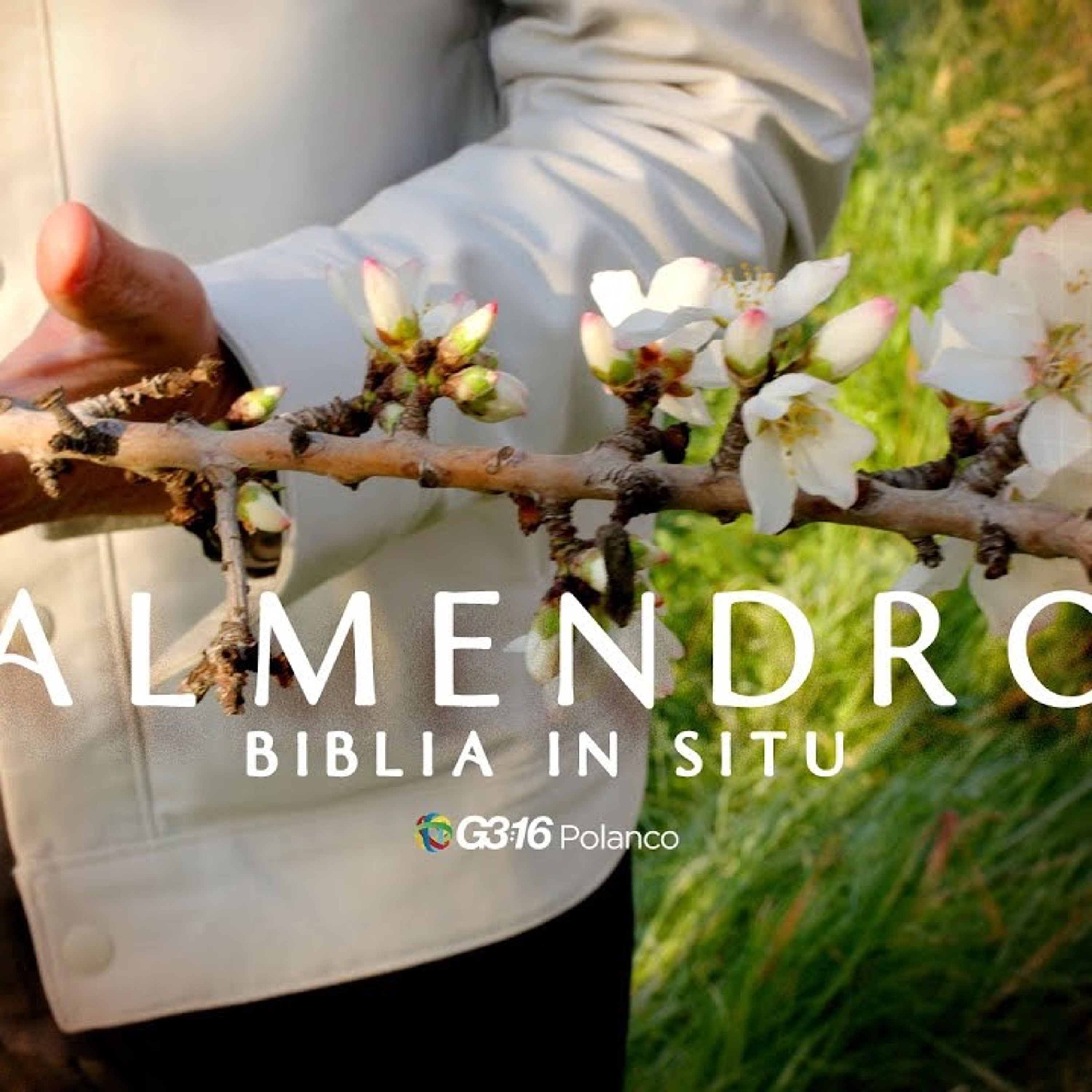 BIBLIA IN SITU — Ep. 8 | Almendro episode artwork