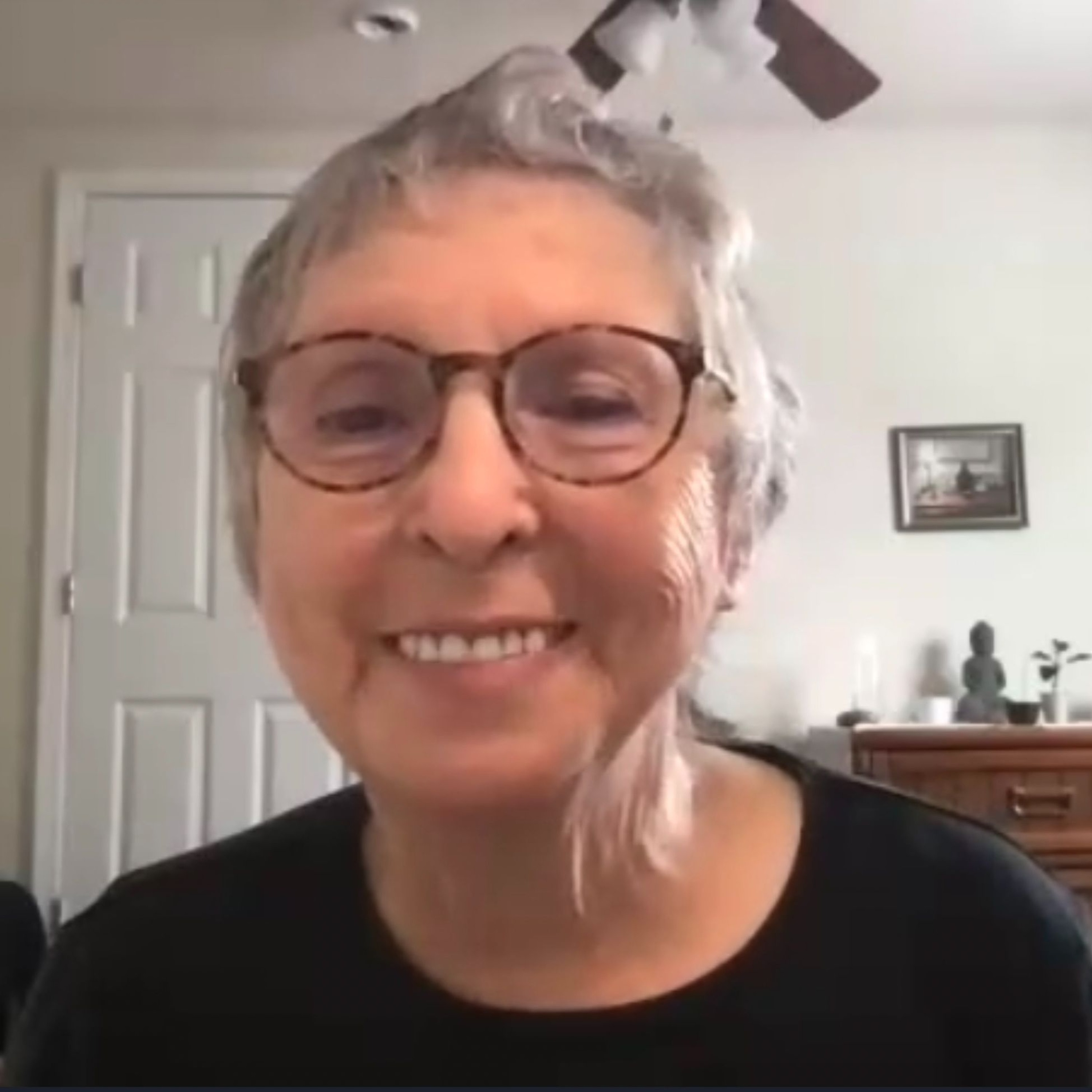 2024-05-05 | Dharma Talk | The Self Centred Dream |  Ellen Hippard episode artwork