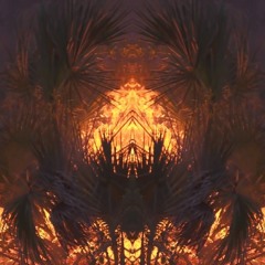 fire starter