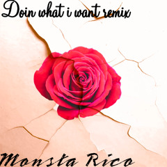 doin what i want (remix)