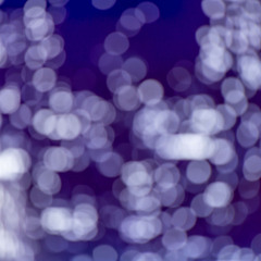 just enough cacaphony to get up