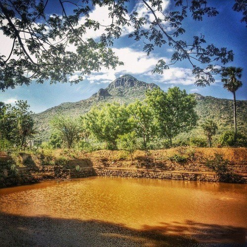 Arunachala