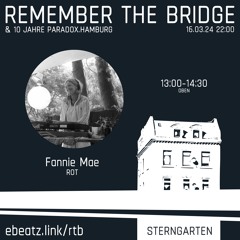 Remember_the_bridge/Paradox - Label - Party