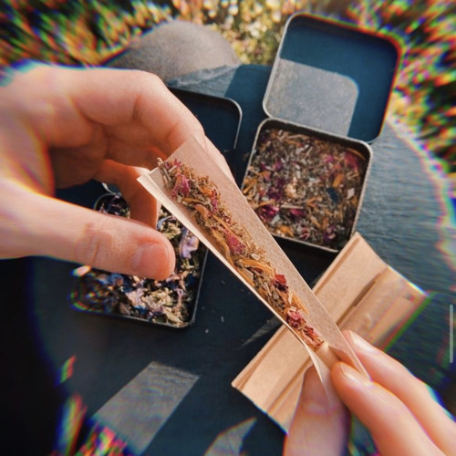 dabudds