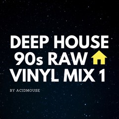 Deep House 90s Raw Vinyl Mix