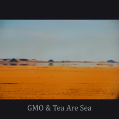 Fata Morgana w/ GMO