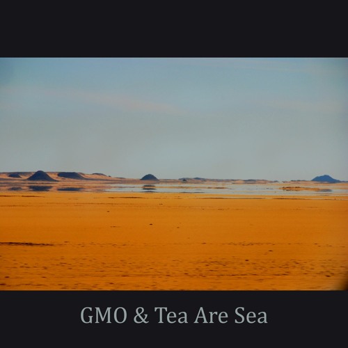 Fata Morgana w/ GMO