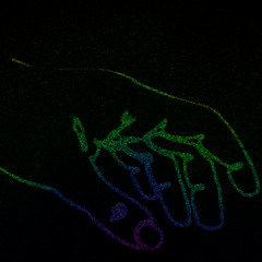 KXRDINAL [with slashedblade, Observifish]