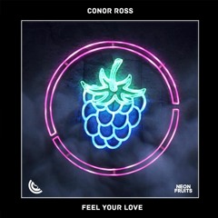 Conor Ross - Feel Your Love