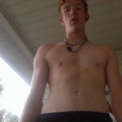 Lie nf cover By thomas henry