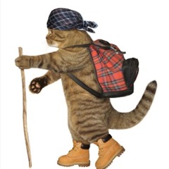 i cannot send (percanthem)