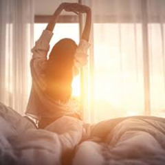 For The Culture (WIP)