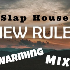 New Rules Slap House(Aplha)