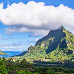 سورة الكهف - علي جابر