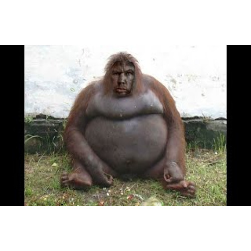 А может просто сНегром стать...