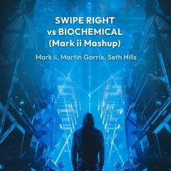 Martin Garrix, Seth Hills, Mark ii - Biochemical Vs Swipe Right (Mark ii Mashup) [FREE DL]