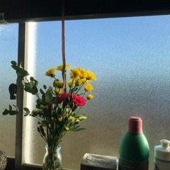 Placing Your Flowers in the Window