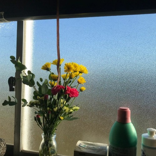 Placing Your Flowers in the Window
