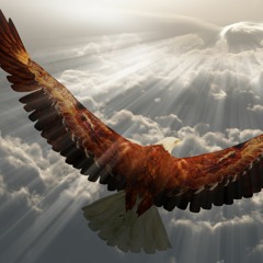Keep Soaring High