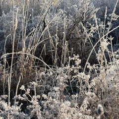 LetItGo (Prod. Michael Harrison)