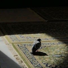 ‎يا راحلين إلى منى- عشر ذي الحجة