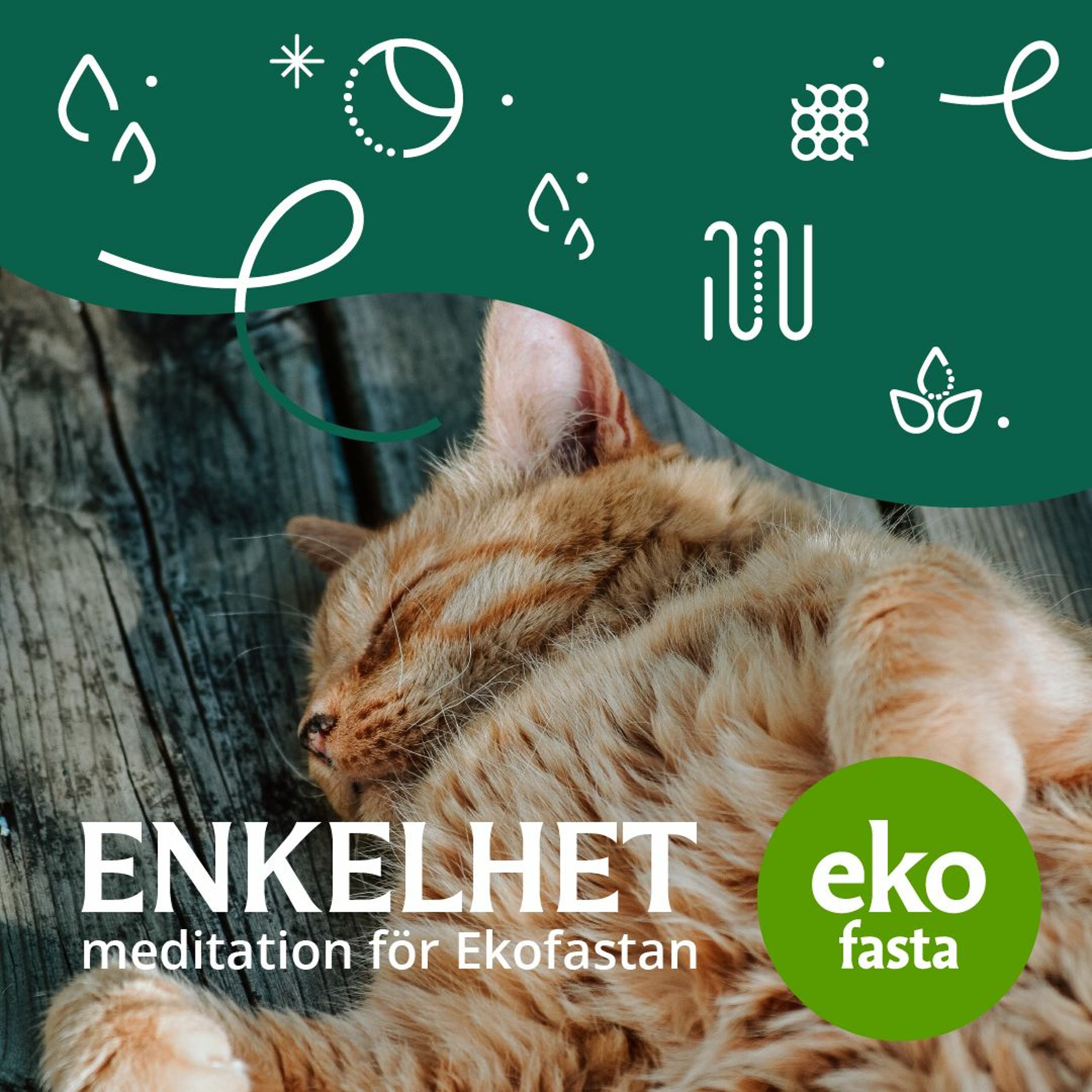 Ekofastapodden