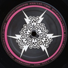 B2 - Sam-C - Information Overload