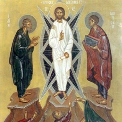 Transfiguration & Our Interior Topography - Fr. Michael Flowers 02.19.23