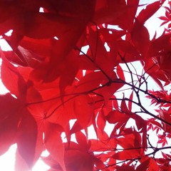 teenage angst (placebo cover instrumental)