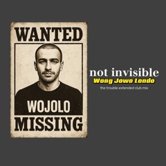 NOT INVISIBLE (the trouble extended mix ) original track