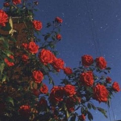 Ghaliaa - Yeli Bedi Yah