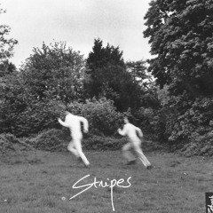 Zebrah_Beautiful Lady