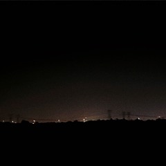 backyard beetle - patio