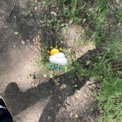 если я тебя забуду