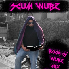 Book Of Wubz Mix Chapter 1