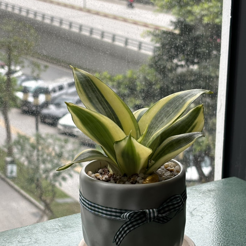 đừng khóc một mình.m4a