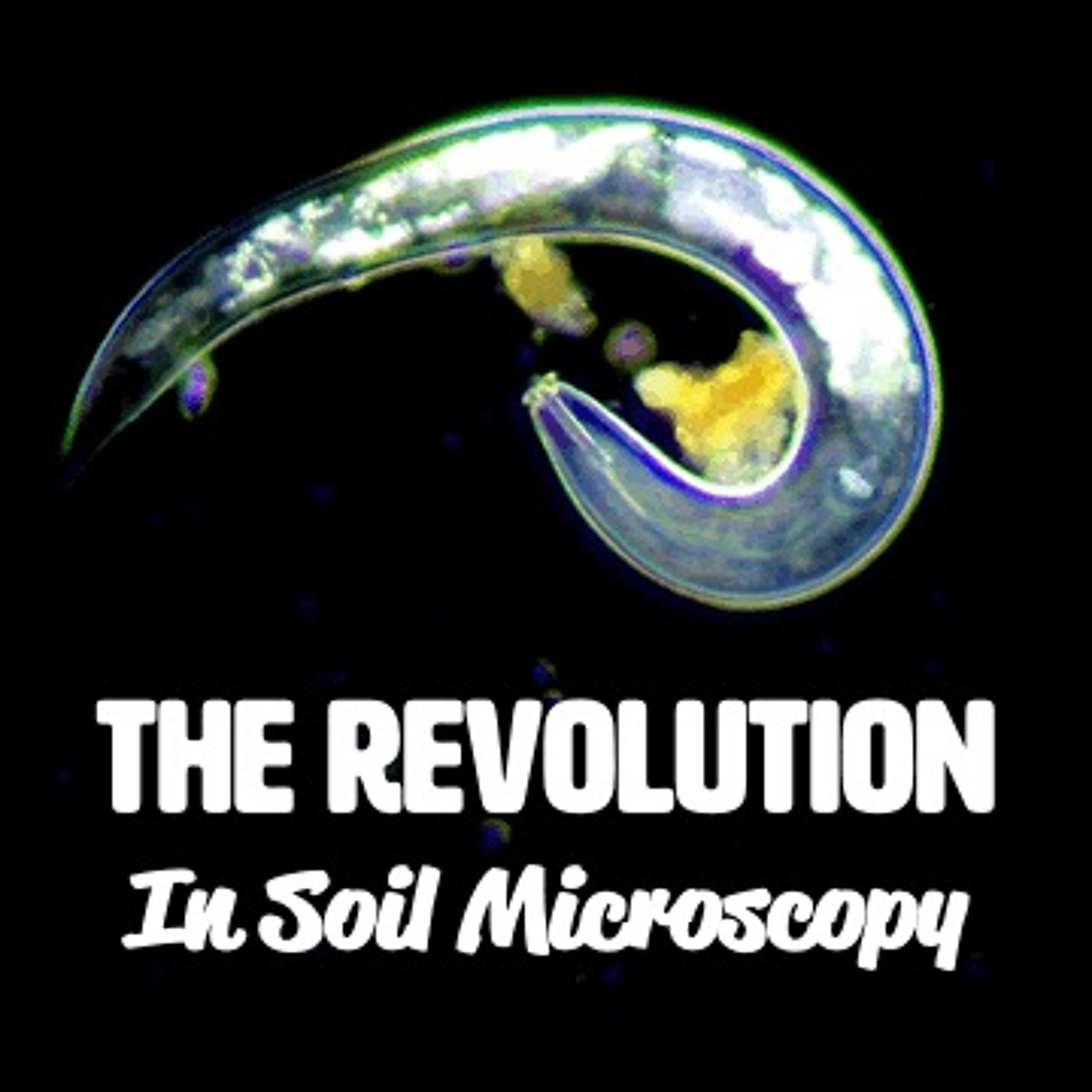 Ep. 186 | The Revolution In Soil Microscopy [FULL WEBINAR]