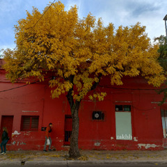 Alkantara