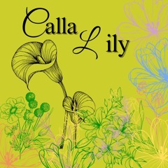 Song 1 Calla Lily